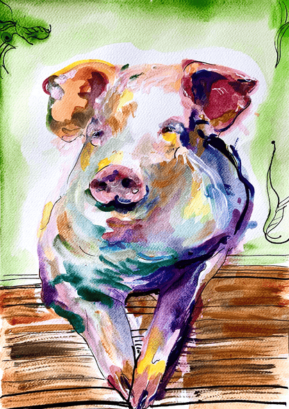 ‘Happy Pig‘ Art Prnt