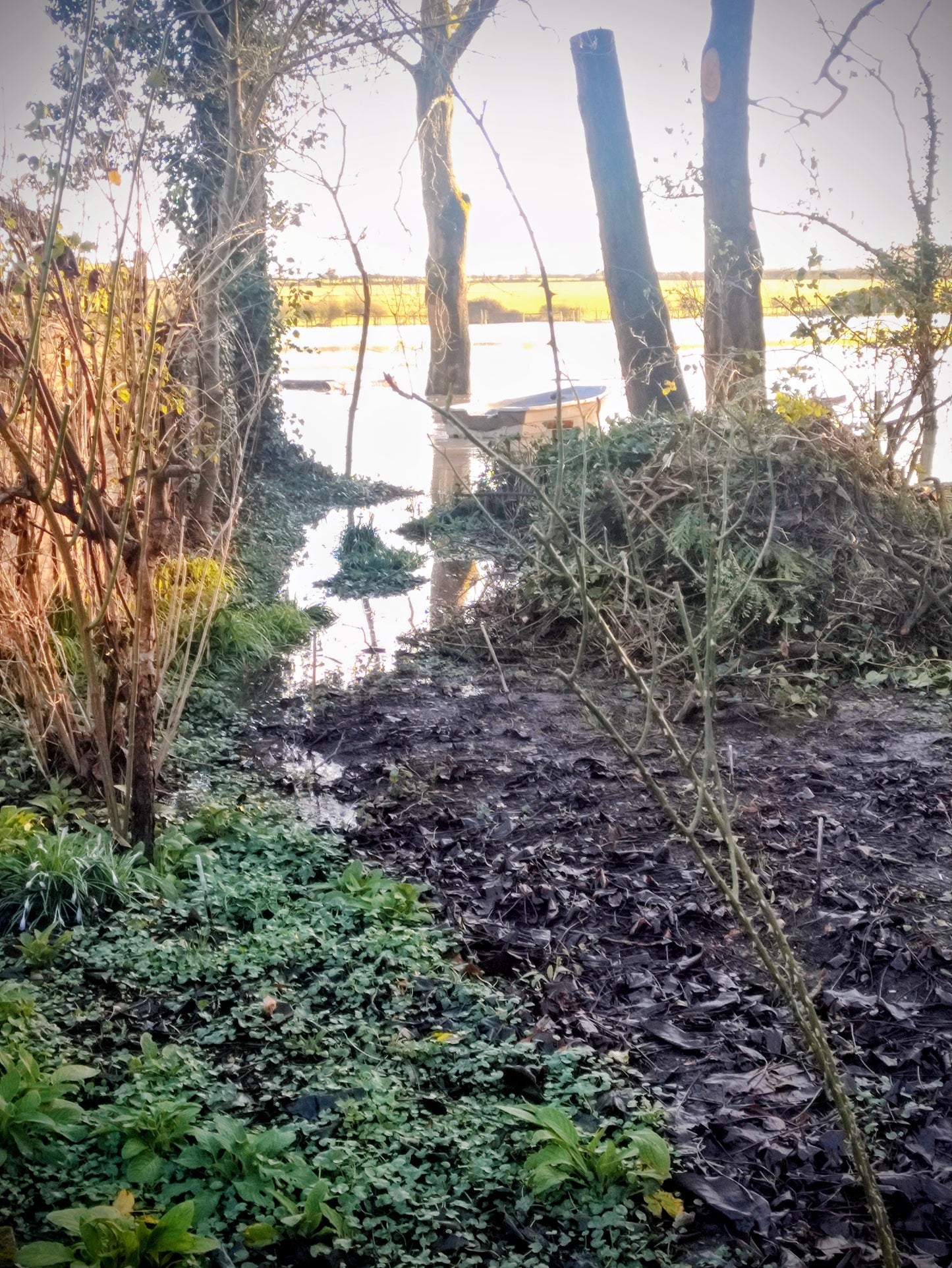 ‘River Boat View’