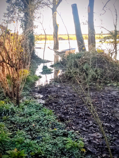 ‘River Boat View’